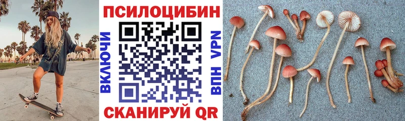 наркота  Чебаркуль  Псилоцибиновые грибы Psilocybe 